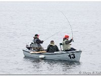 2014-05-22 -IMG 9986